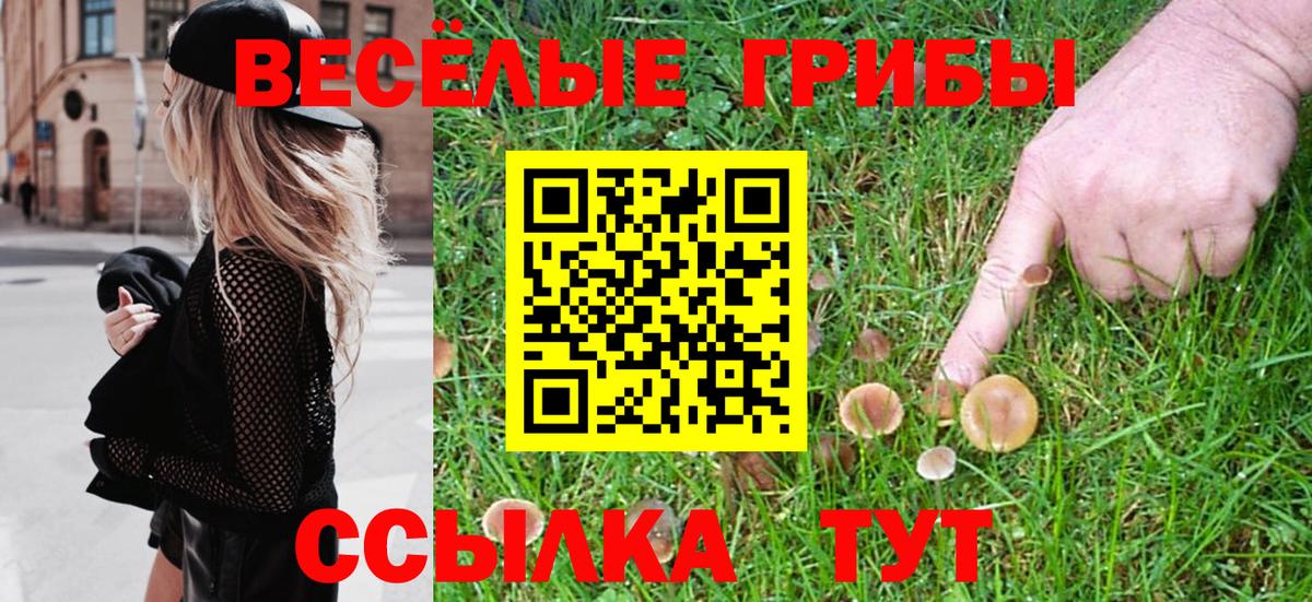 Грязи  Псилоцибиновые грибы MAGIC MUSHROOMS  Вход с VPN  Псилоцибиновые грибы мухоморы 