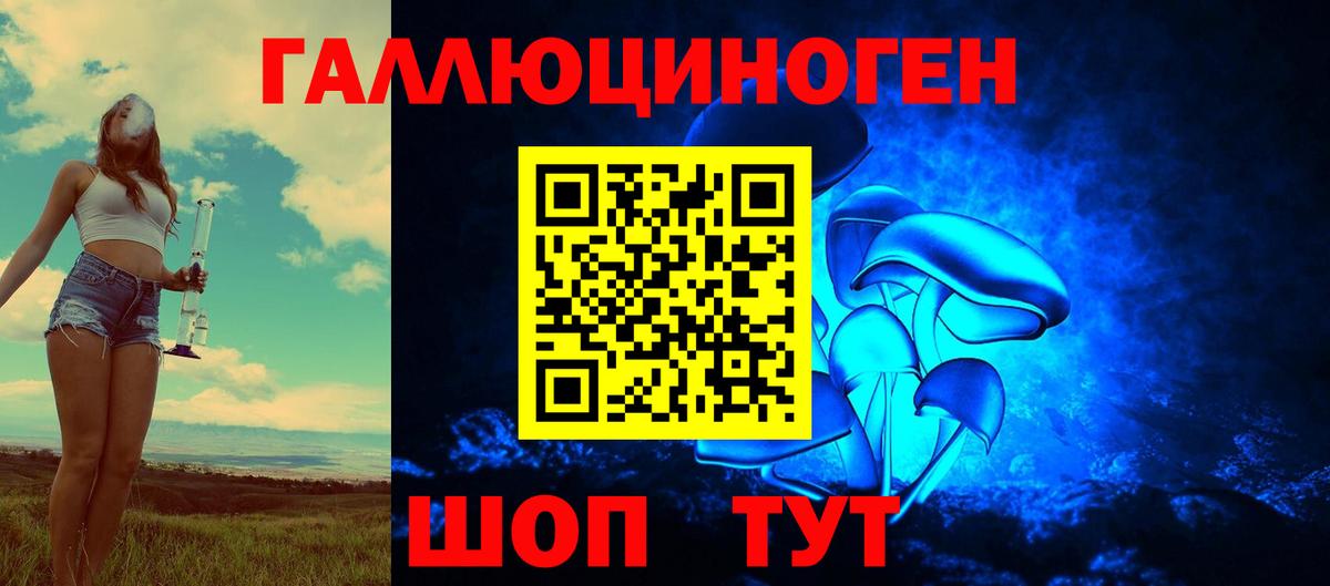 Псилоцибиновые грибы Psilocybe Грязи